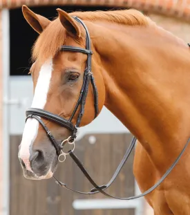 Delizioso Snaffle Bridle